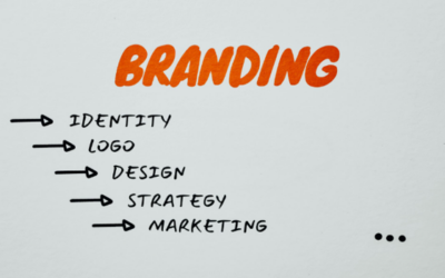 NAVIGATING IN TURBULENT MARKETS: THE ROLE OF BRANDING STRATEGIES