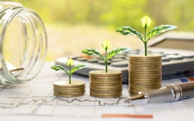 ECO-FRIENDLY INVESTMENTS: Building a Green Portfolio